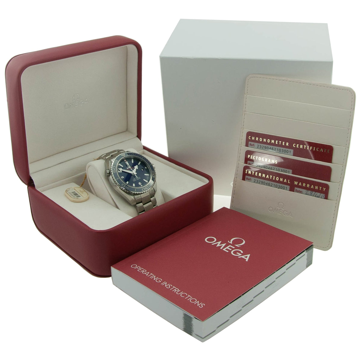 Planet Ocean 600m - Gents Titanium Watch - 2013
