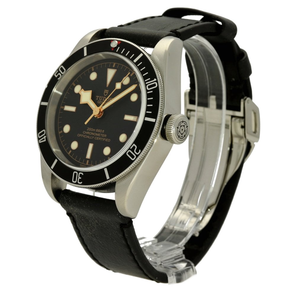 Black Bay M79230N-0001 - Mens Watch - Black Dial - 2021