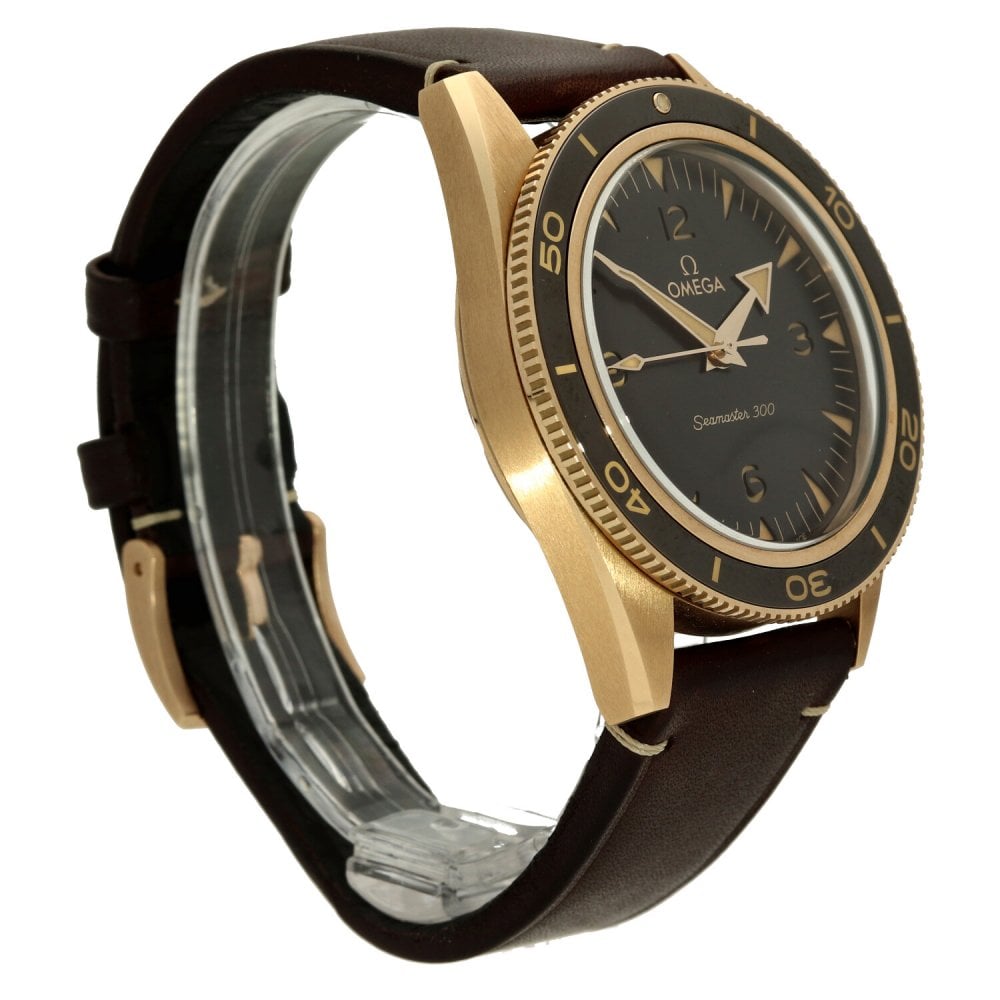 Seamaster 2349241211001 - Mens Watch - Black Dial - 2021