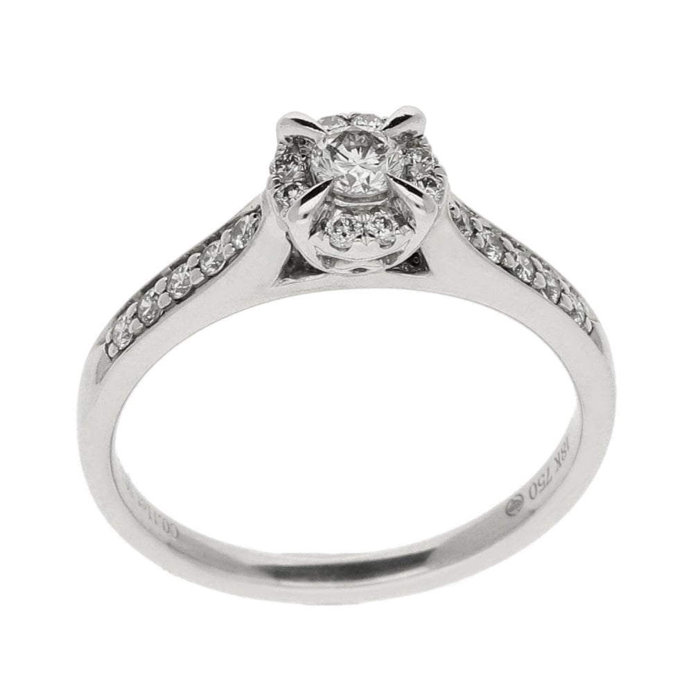 Ladies 18ct White Gold Diamond Cluster Ring - 0.24ct