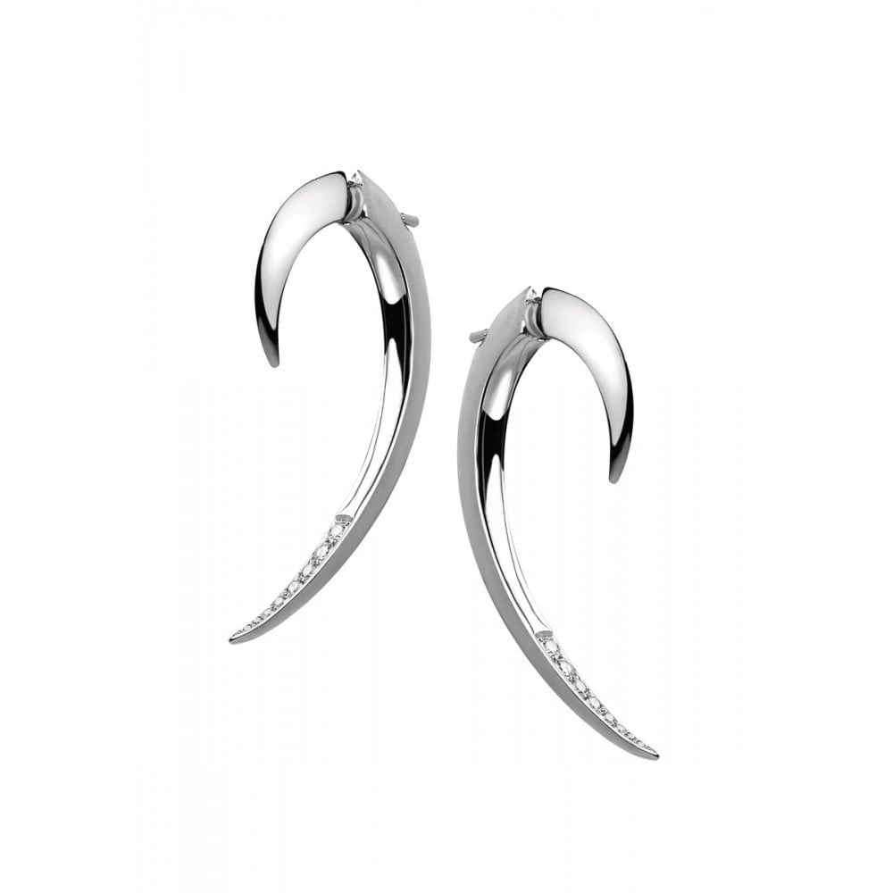 Silver and Diamond Hook Earrings