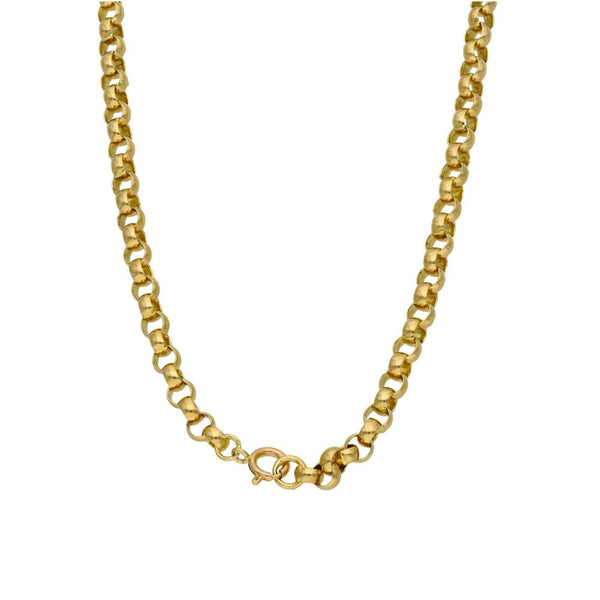 1893 Yellow Gold Full Sovereign Coin Pendant & Chain - 46.9g