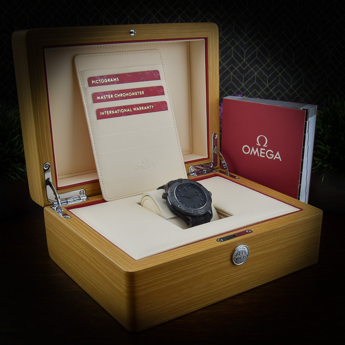Seamaster 210.92.44.20.01.003 - Black Ceramic - 2023