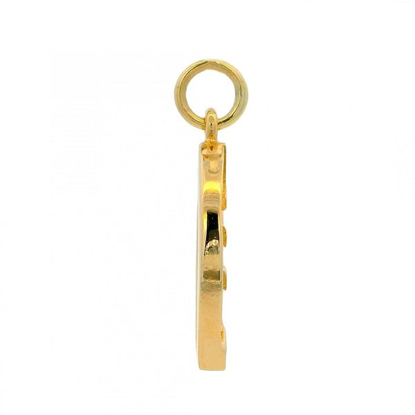 9ct Yellow Gold Horseshoe Pendant - 18x22x2.5mm - 3.0g