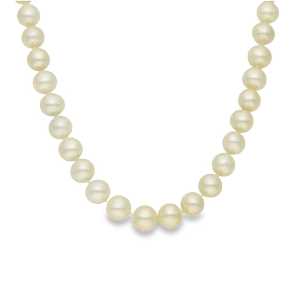 9ct Yellow Gold Pearl Necklace - 16" - 32.2g