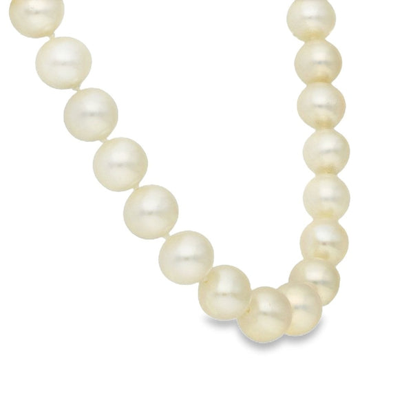 9ct Yellow Gold Pearl Necklace - 16" - 32.2g