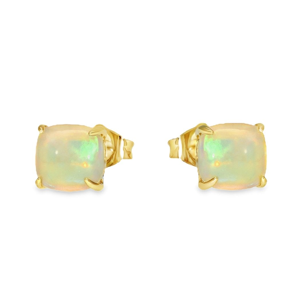 9ct Yellow Gold Opal Stud Earrings