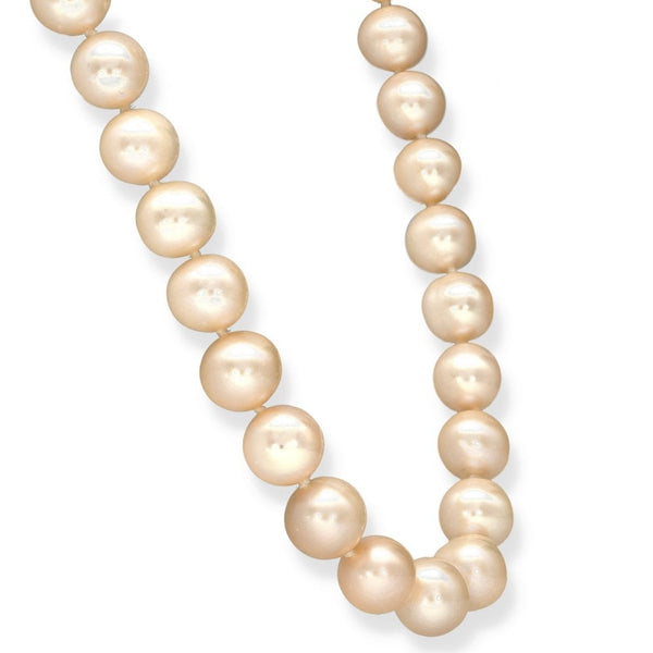 9ct Yellow Gold Cream Pearl Necklace - 20" - 63.8g