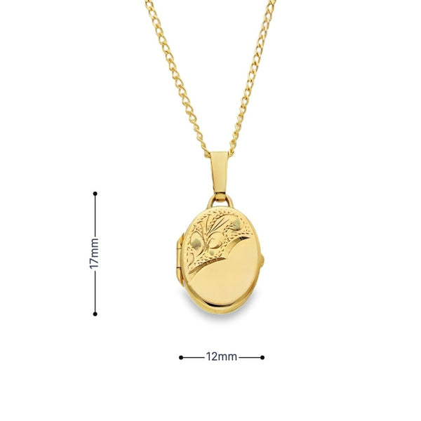 9ct Yellow Gold Oval Feather Locket & Chain - 12x17x3mm - 3.4g