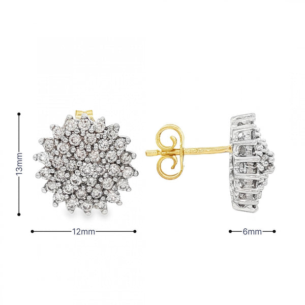 9ct Yellow & White Gold Diamond Cluster Stud Earrings - 1.00ct