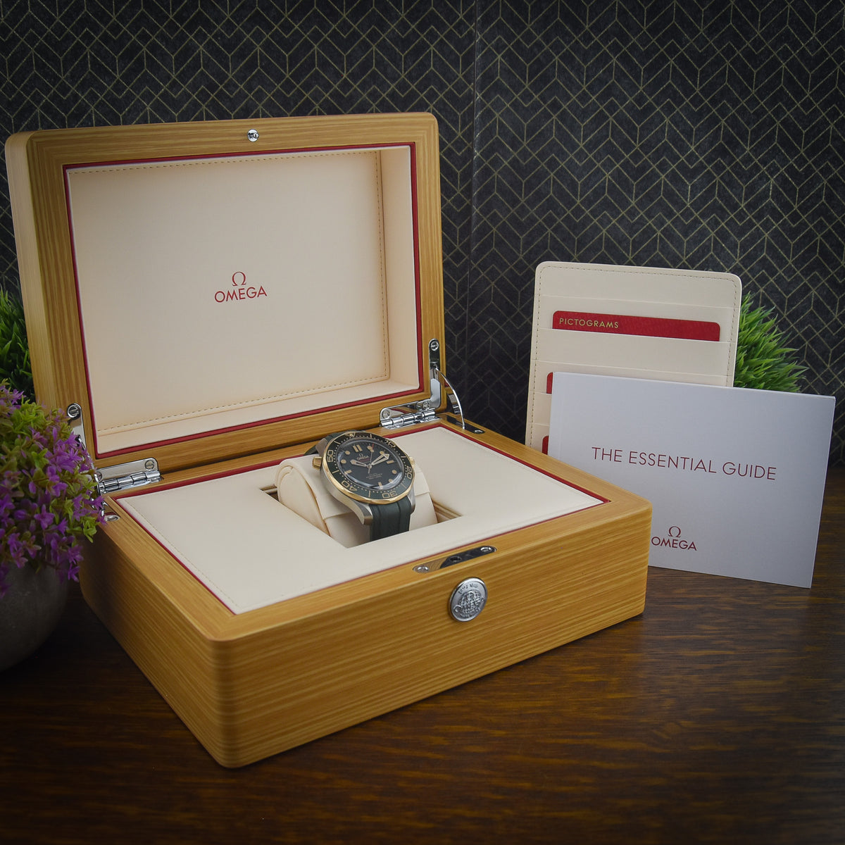 Seamaster 210.92.42.20.10.001 - Green Dial - 2025